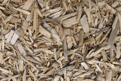 biomass boilers Kinlocheil